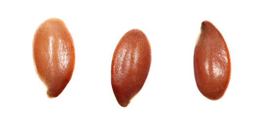 Set flaxseed, linseed isolated on white, macro and clipping