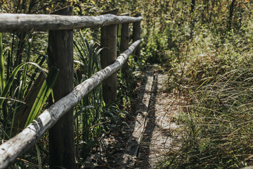 Fototapeta premium A close-up view of a rustic wooden fence lining a narrow forest path surrounded by lush greenery and tall grass. Sunlight filters through the trees, illuminating the scene.