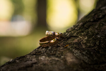 Obraz premium Elegant Wedding Rings Resting on a Natural Tree Bark Background with Soft Bokeh Effects