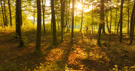 Obraz premium LENS FLARE: Young woman on a peaceful morning bike ride through sunlit forest with her energetic dog. Mountain biker sharing outdoor adventures with her pet. Companionship between human and animal