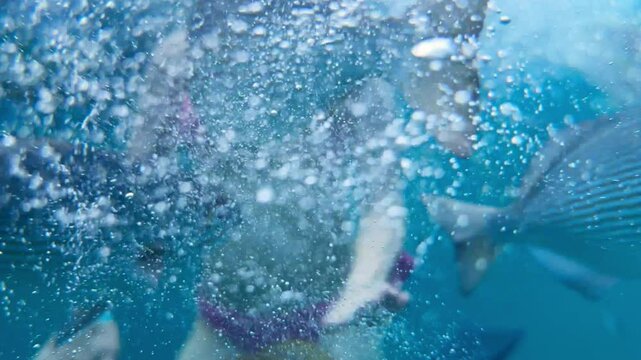 Snorkeling adventure in Varadero, blurred underwater view