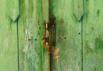 Green ancient rustic door in the old house