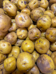 colorful South American fruits and vegetables, tubers, red, yellow, green, banana, potato, fruit