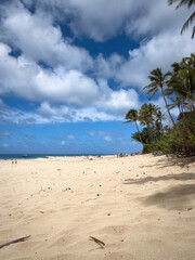 Scenic view of Banzai Beach on the island of Oahu, Hawaii, USA against blue sky with clouds