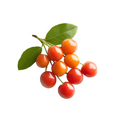  Stone Fruits - Surinam Cherry. A small cluster of Surinam Cherries with a few green leaves, isolated on transparent backdrop.