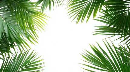 Obraz premium summer card copy space with sand and xotic green tropical plants