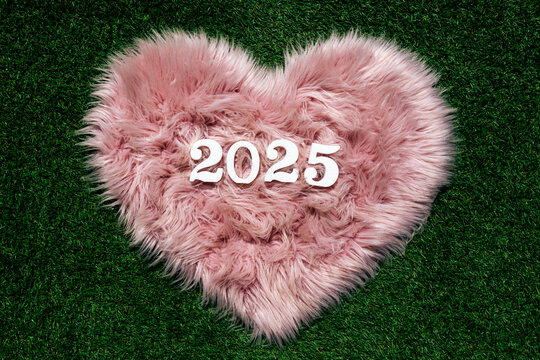 Pink furry heart with 2025 celebrating the New Year
