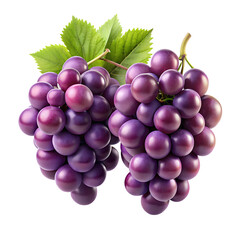 Fototapeta premium bunch of grapes isolated on transparent background png