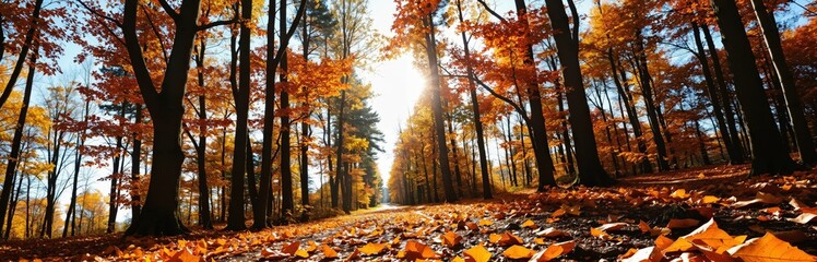 A serene autumn forest scene features a winding road covered in fallen leaves, tall trees with vibrant orange and yellow leaves, and a clear blue sky