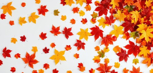 A vibrant, scattered arrangement of autumn leaves in red, orange, yellow, and green hues, creating a dynamic and visually striking scene against a stark white background