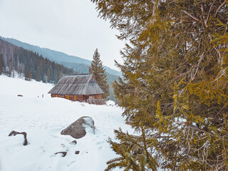 Shepherd's hut in winter in Poland mountains - Tatras