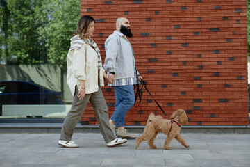 Couple walking dog on a city sidewalk near brick wall with greenery in background. Man and woman casually chatting while holding dog's leash, enjoying outdoor stroll