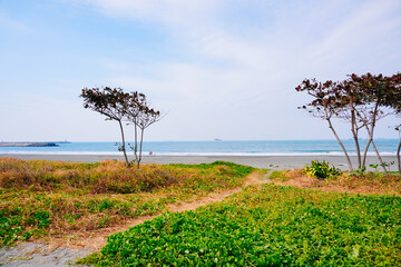 Kaohsiung, Taiwan, Republic of China, 01 25 2024: The landscape of National Sun Yat-sen University (NSYSU). It is is a public research university located in Sizihwan, Kaohsiung. © Feng