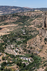 The rocky, sheer-sided limestone cliffs of Ronda Gorge (El Tajo de Ronda) plummet 390 feet (120...