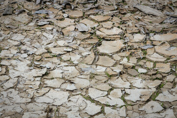 Estiagem no Amazonas, Seca no Rio Negro - Am