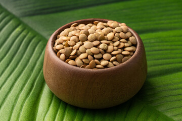 Lens culinaris organic - Brown lentils in a bowl.