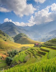 Idyllic Rice Paddies and Mountain Scenery in Sapa, Vietnam