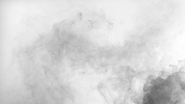 4k cloudy mist fog, black smoke abstract render on white background