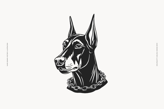 Illustration of doberman dog with chain collar. Hand drawn vector isolated illustration.
