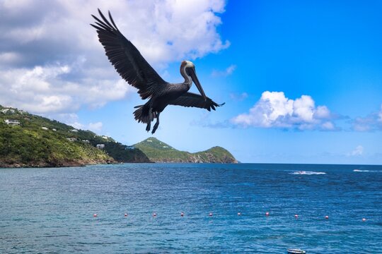 St. Thomas, United States Virgin Islands