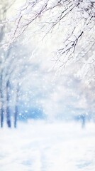 Serene Winter Scene with Snowy Trees