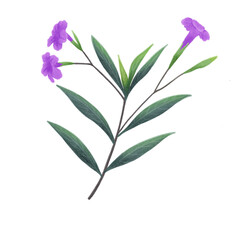 Wild flower hand drawn illustration