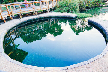 Wall Springs Park and Pinellas Trail in Palm Harbor, Tarpon Springs and Gulf of Mexico