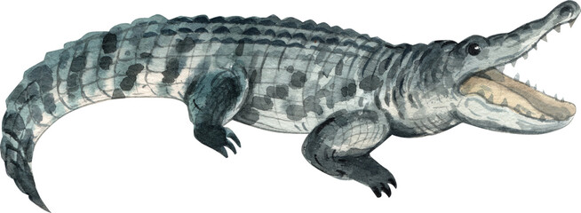A crocodile is a large aquatic reptile found in tropical regions, hand-drawn watercolor illustration