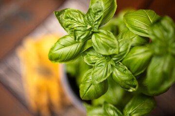 Close-up of fresh green basil leaves with blurred background 