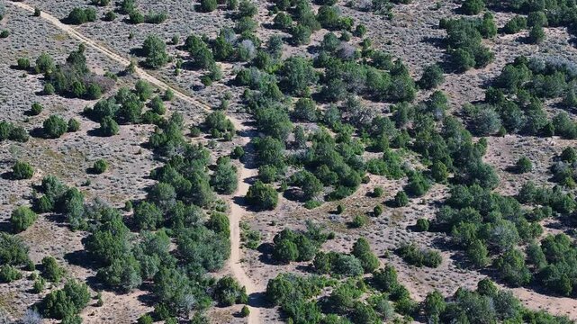 Aerial mountain valley trail Utah. Aerial rural foothills, dirt roads and trails to mountain and cabins. Cedar juniper trees and sage brush. Farming community agricultural economy.
