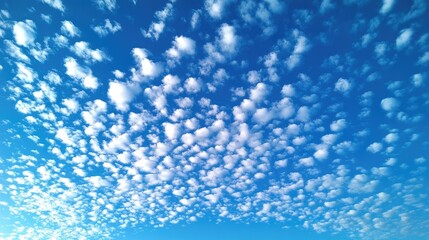 Obraz premium A serene sky dotted with altocumulus clouds, small and puffy, evenly scattered across a bright blue expanse.