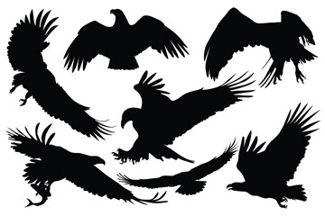 Eagle Vector Illustration Set. Discover the majestic beauty of eagles with this black and white vector. Collection of Different Eagle Poses, wildlife enthusiasts and graphic Perfect for Logos, Designs