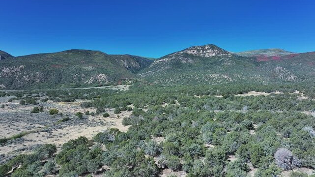 Aerial mountain valley Juniper trees autumn Utah. Aerial rural foothills, dirt roads and trails to mountain and cabins. Cedar juniper trees and sage brush. Farming community agricultural economy.
