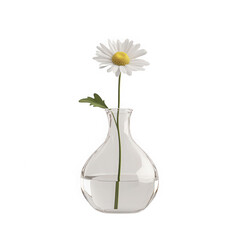 A white flower is in a clear vase with water