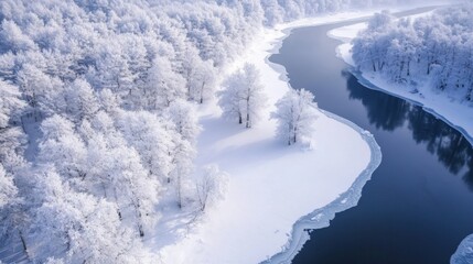 Aerial View of a Frozen River Winding Through a Snowy Forest