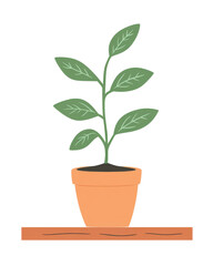 Fototapeta premium Potted plant with leaves, white isolate background