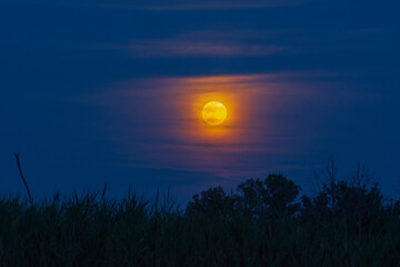 A full moon rises on a cloudy night