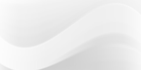 Abstract minimalist white and gray curve modern background. texture white pattern. vector illustration