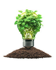 Light bulb with plants growing from soil, eco-friendly concept.