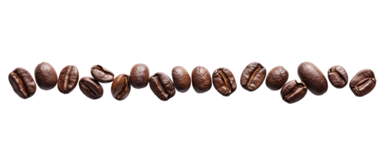 Line of coffee beans are shown in a row