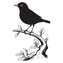 Classic little bird on a tree branch