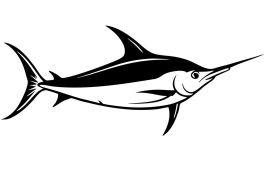 black and white swordfish swimming on white clip art preview