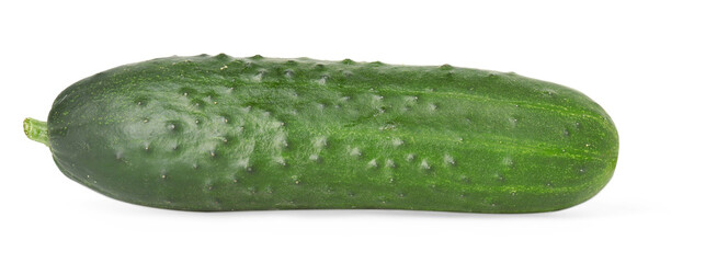 One fresh green cucumber isolated on white