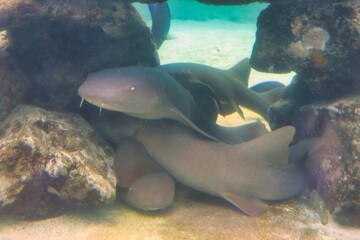 St. Thomas, United States Virgin Islands