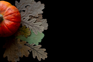 Halloween and Thanksgiving card. black background with autumn leaves and pumpkin
