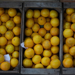 Crates of fresh fruits and vegetables in a traditional grocery store with a variety of healthy and colorful products displayed on wooden shelves