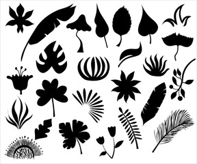 A vectorized illustration featuring separate silhouettes of various plants and leaves in black. This minimalist and elegant design showcases the beauty of nature through simple and detailed botanical 