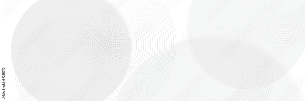Canvas Prints abstract curve lines white and grey vector background, modern lines.
