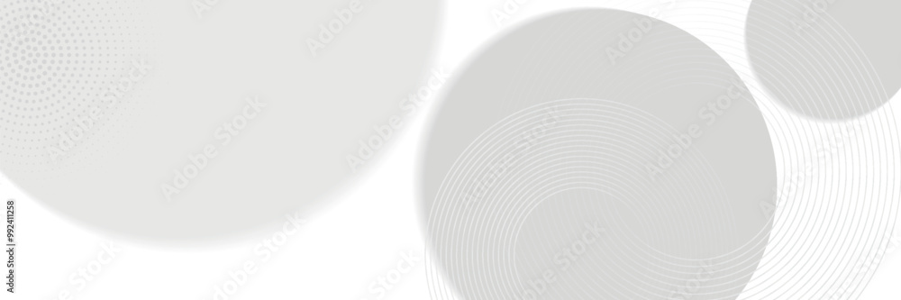 Poster abstract curve lines white and grey vector background