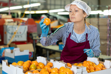Professional female employee in uniform inspecting quality of ripe tangerines in boxes at fruit sorting factory © JackF